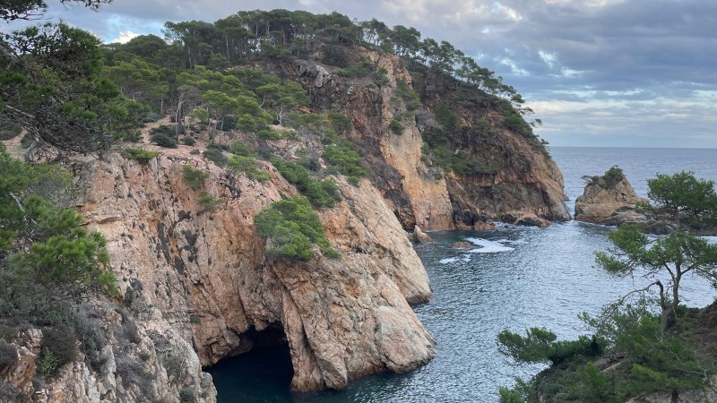 Projecte de gestió i conservació del litoral de l’Espai d’Interès Natural (EIN) Castell - Cap Roig