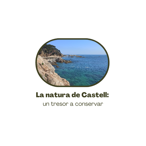 La natura de Castell: un tresor a conservar