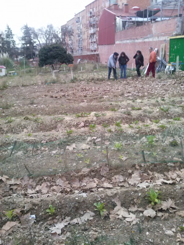 L’ANG visita els horts urbans de Terrassa