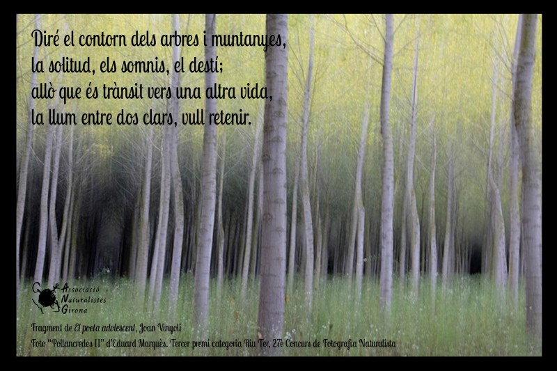 Els NATUS et desitgem unes BONES FESTES, i et donem les GRÀCIES!