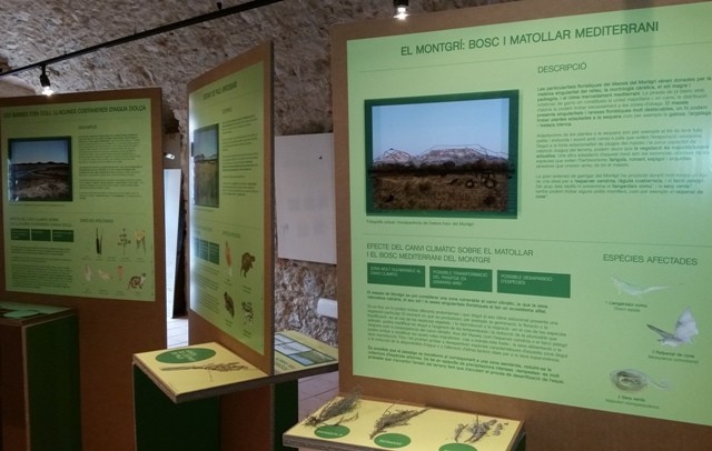 El Museu de la Mediterrània instal·la l'exposició 