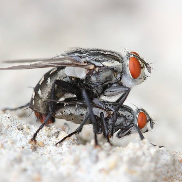 Exposició de les fotografies guanyadores i finalistes del 27è Concurs de Fotografia Naturalista de l’ANG