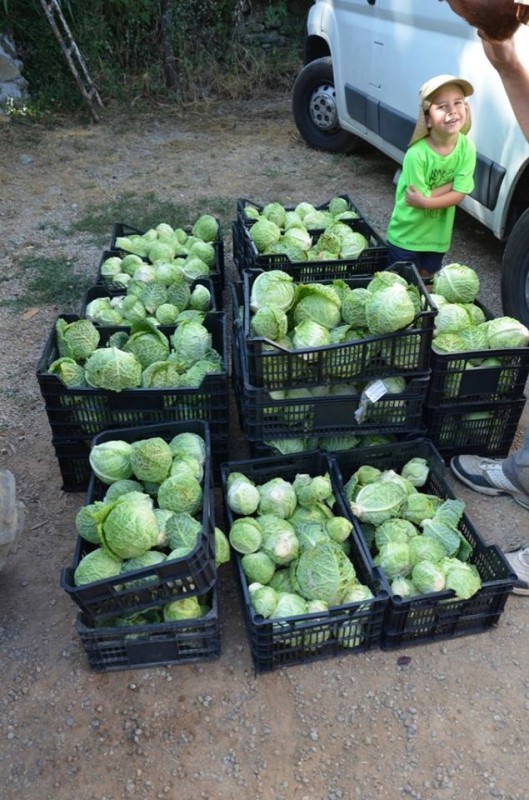 El Comando Col ha realitzat la seva primera missió de salvament vegetal
