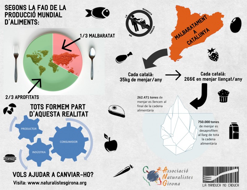 El malbaratament alimentari a Catalunya en una imatge
