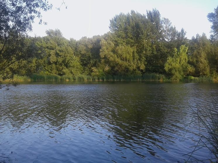 El nou Pla de gestió del districte de conca fluvial de Catalunya ignora els danys ambientals que suposa el transvasament actual del riu Ter