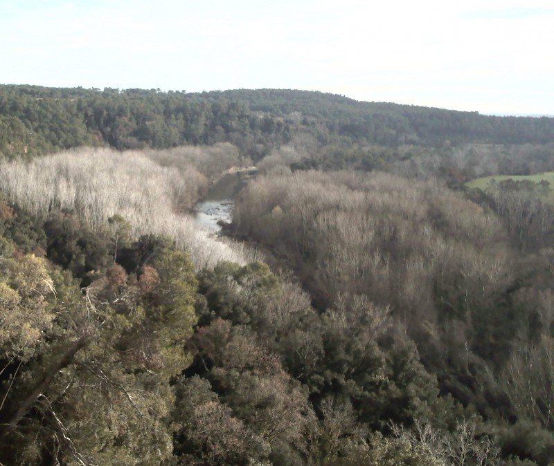 LIMNOS i l’ANG demanen l'anul·lació d’una rompuda forestal a Parets d'Empordà (Vilademuls)
