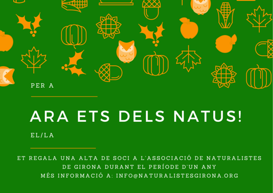 Aquest Nadal, regala esperança ambiental