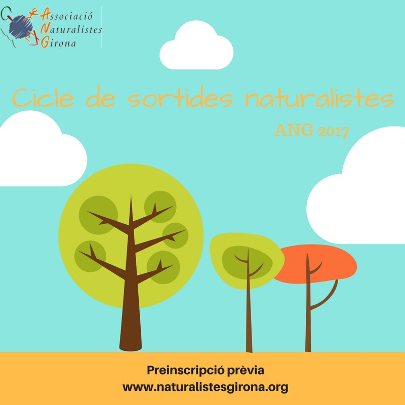 Nou cicle de sortides naturalistes de l'ANG