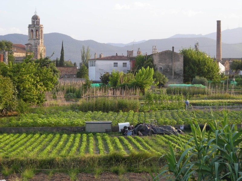 La  Plataforma Salvem Sota Monestir es reactiva!