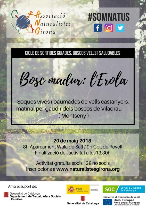 Bosc madur: l'Erola. Comença el nou cicle de sortides guiades dels Natus!