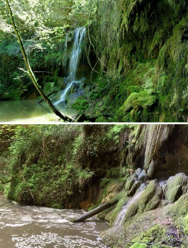 LIMNOS I NATURALISTES DE GIRONA DENUNCIEN UN ABOCAMENT DIRECTE DE PURINS AL GORG BLAU DE VILADEMULS
