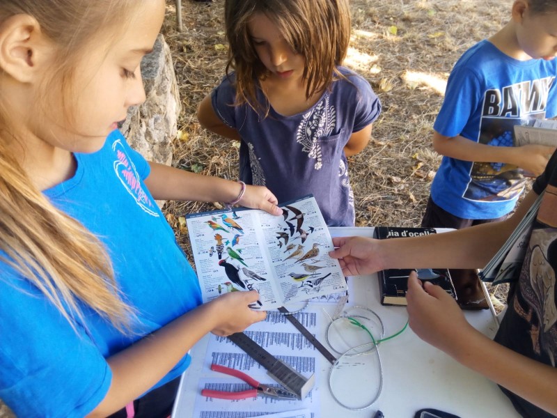 Més de 50 joves i infants gaudeixen de la natura als casals naturalistes d'estiu 