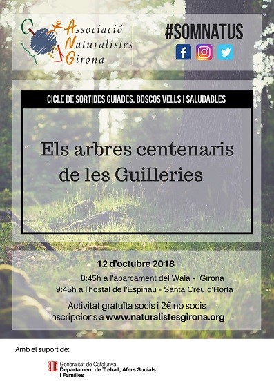 Arbres centenaris de Les Guilleries. Seguim amb el cicle de sortides guiades dels Natus del 2018!