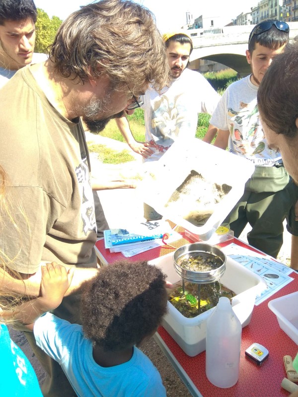 L’Associació de Naturalistes de Girona avalua l’estat del riu Onyar en el tram urbà