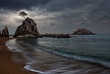 Exposició de fotografia naturalista de l’ANG 