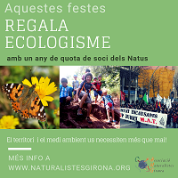 Per Nadal regala NATUS!