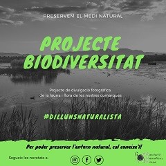 Projecte Biodiversitat