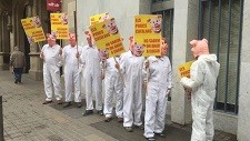 Salvem Catalunya de ser un gran femer! 