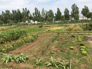 Resum de la sortida de descoberta de Paisatges Salvats