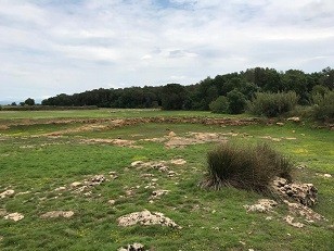 Resum de la sortida de descoberta de Paisatges Salvats