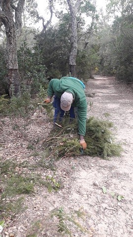 L'economia socioambiental i solidària com a eina de conservació i valoració dels serveis ambientals dels ecosistemes