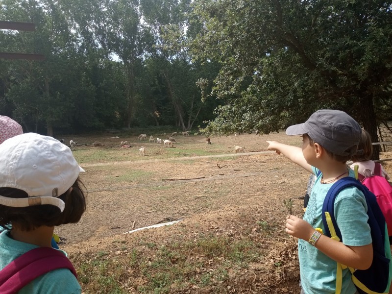 Més de 70 infants gaudeixen de la natura al casal naturalista d'estiu
