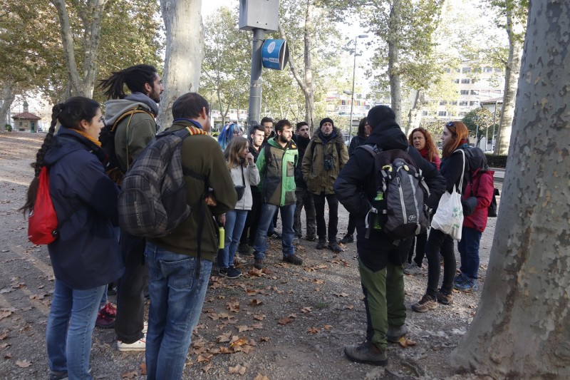 Resum de la descoberta de fauna a la jornada de Voluntariat Ambiental 