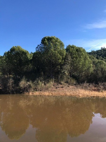 Creació de l'Agència del Patrimoni Natural i la Biodiversitat 