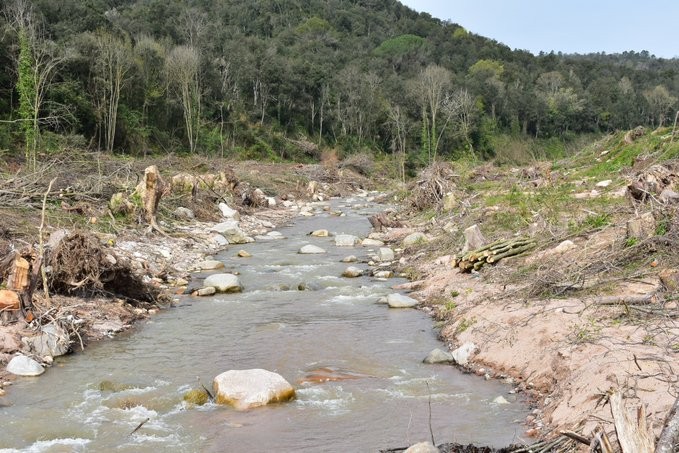 Deu organitzacions ecologistes denuncien a la Fiscalia de Medi Ambient la destrucció del bosc de ribera a la riera d’Arbúcies