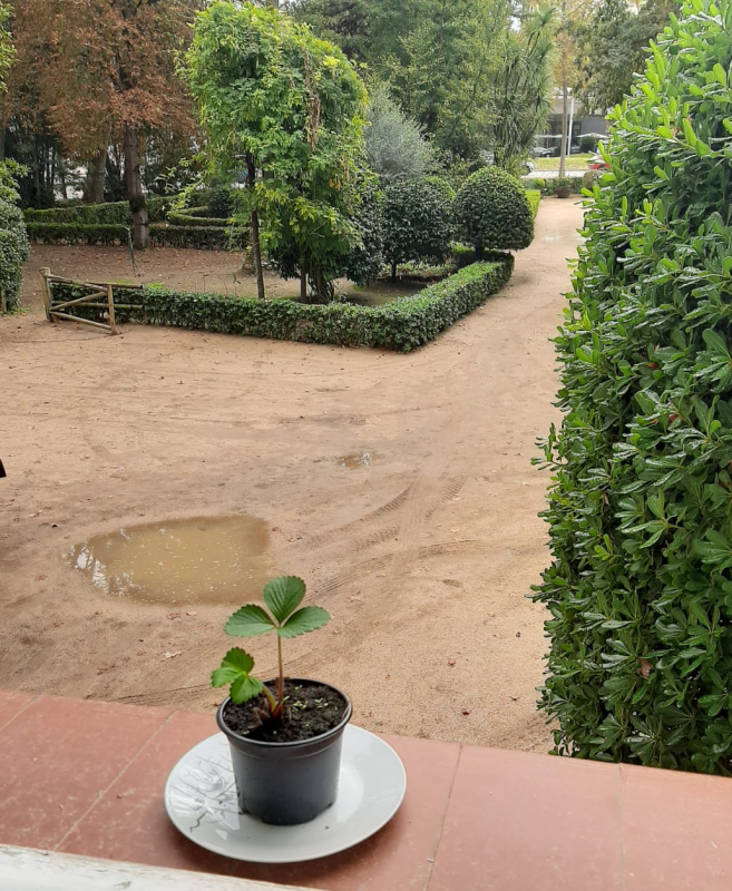 L'ANG ens adherim al projecte 