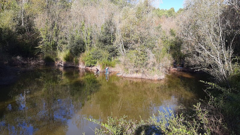L'ANG iniciem el projecte de conservació de les basses de Sant Daniel