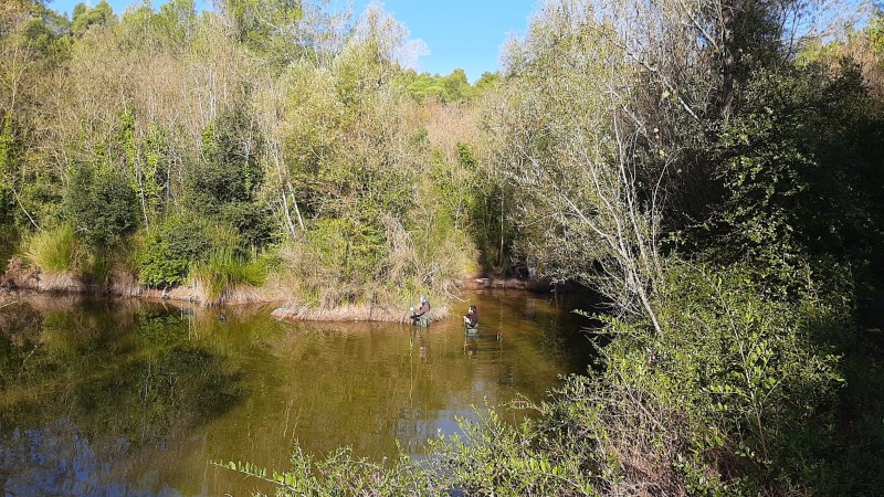 L'ANG iniciem el projecte de conservació de les basses de Sant Daniel