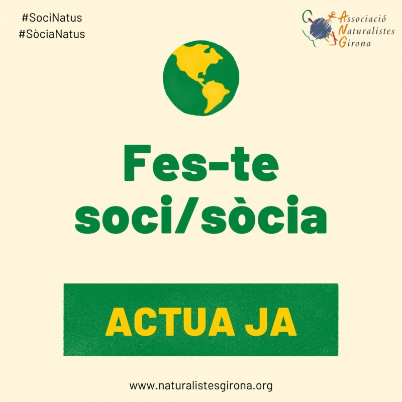 FES-TE SOCI O SÒCIA