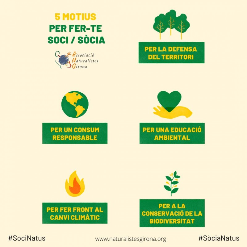 5 motius per FER-TE SOCI / SÒCIA