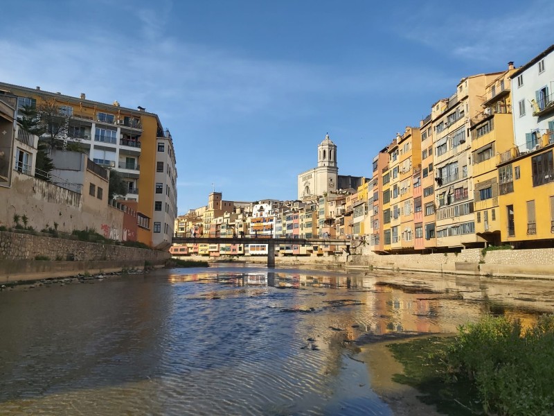Defensem l’actuació de l’Ajuntament de Girona envers la polèmica pel sacrifici dels peixos exòtics invasors de l’Onyar