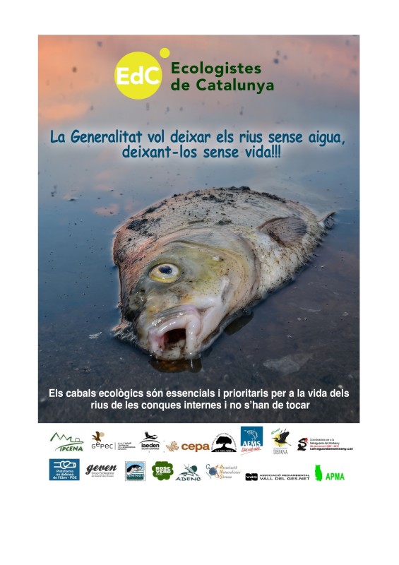 La Generalitat vol deixar els rius sense aigua, Deixant-los sense vida!!!