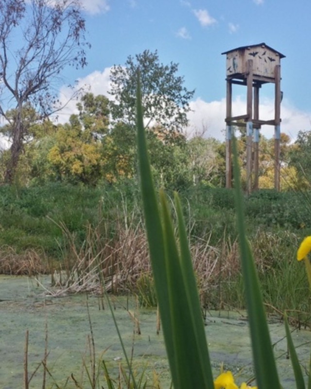 Declaració de la Federació Ecologistes de Catalunya en el Dia Mundial del Medi Ambient 2025 