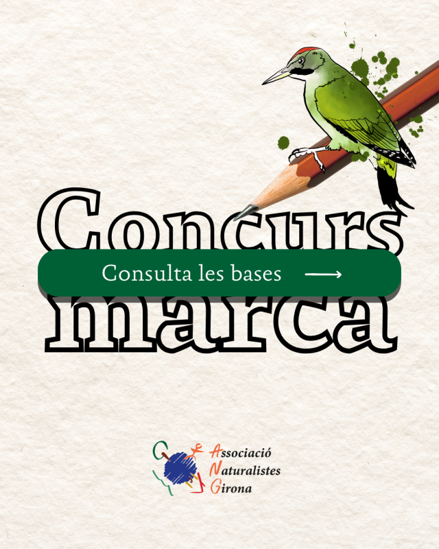 Concurs de marca