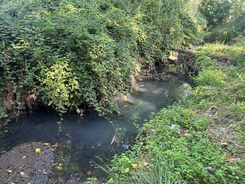 Denunciem tres abocaments il·legals a la riera Gotarra i la manca de vigilància ambiental