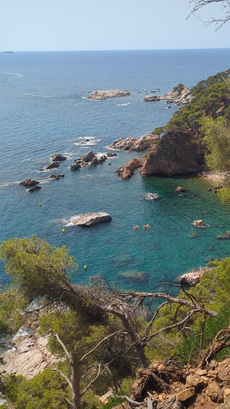 Nou robatori de les boies de seguretat a l'espai Natura 2000 Cap Roig-Castell