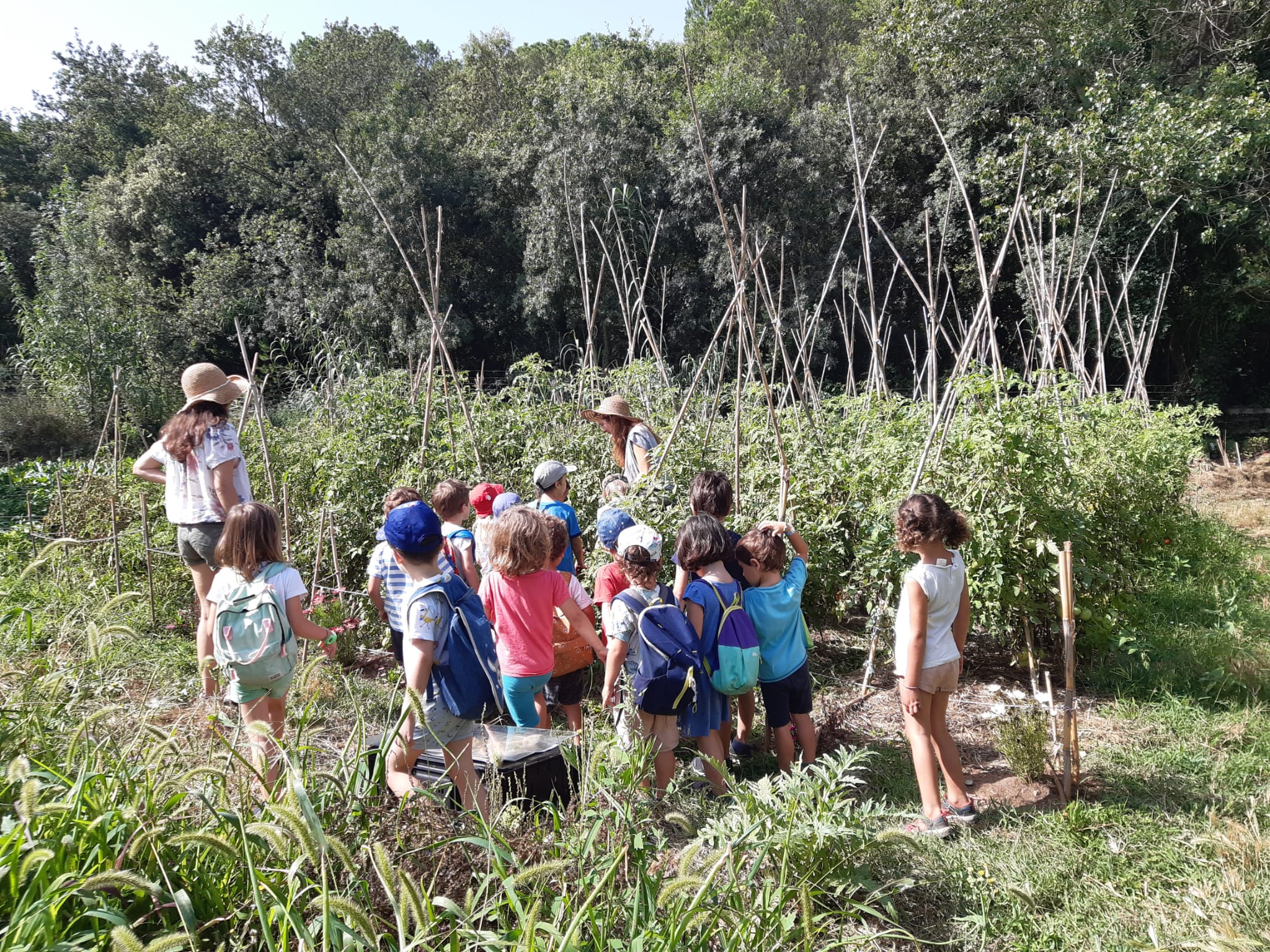 Educació ambiental