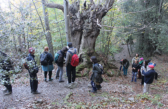 Associació de Naturalistes de Girona