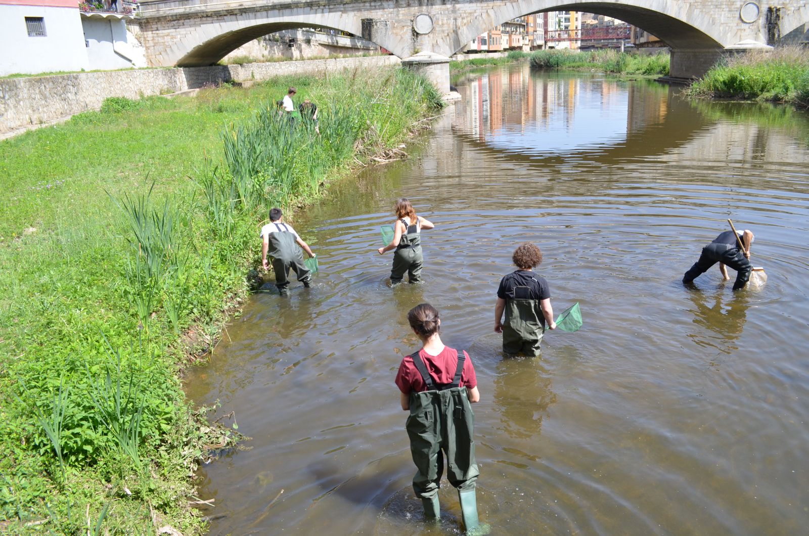 Mostreig dels macroinvertebrats aquàtics